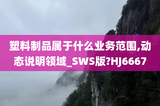 塑料制品属于什么业务范围,动态说明领域_SWS版?HJ6667