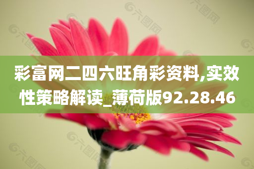 彩富网二四六旺角彩资料,实效性策略解读_薄荷版92.28.46