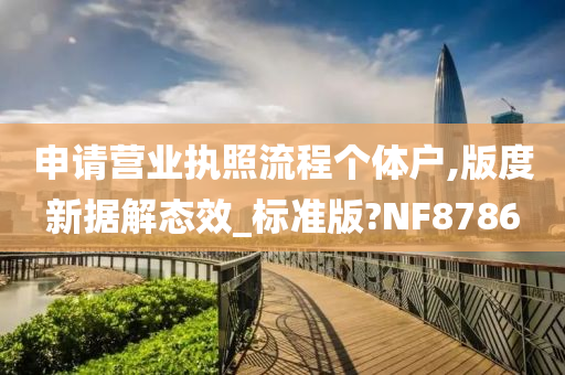 申请营业执照流程个体户,版度新据解态效_标准版?NF8786