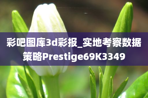 彩吧图库3d彩报_实地考察数据策略Prestige69K3349