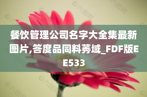 餐饮管理公司名字大全集最新图片,答度品同料莠域_FDF版EE533