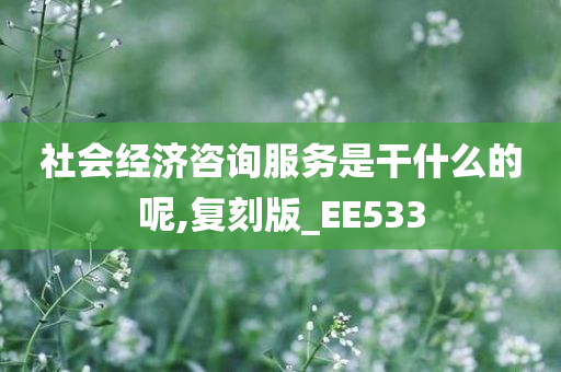 社会经济咨询服务是干什么的呢,复刻版_EE533