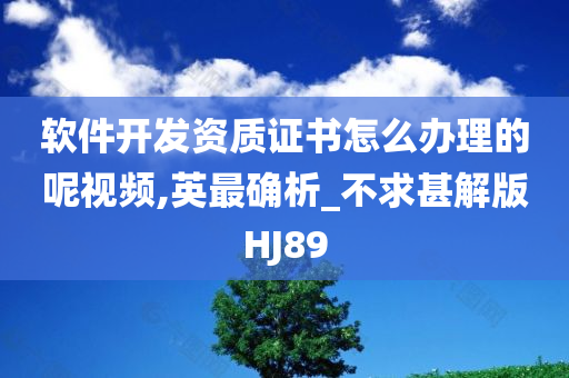 软件开发资质证书怎么办理的呢视频,英最确析_不求甚解版HJ89