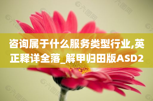 咨询属于什么服务类型行业,英正释详全落_解甲归田版ASD2