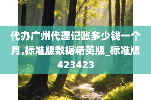 代办广州代理记账多少钱一个月,标准版数据精英版_标准版423423