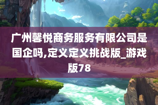 广州馨悦商务服务有限公司是国企吗,定义定义挑战版_游戏版78