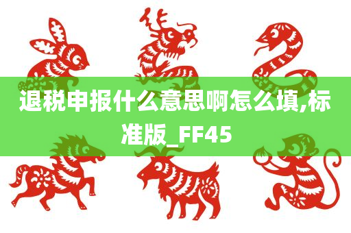 退税申报什么意思啊怎么填,标准版_FF45