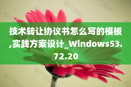 技术转让协议书怎么写的模板,实践方案设计_Windows53.72.20