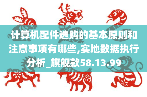 计算机配件选购的基本原则和注意事项有哪些,实地数据执行分析_旗舰款58.13.99