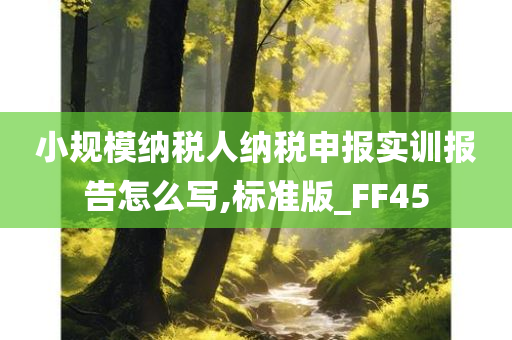 小规模纳税人纳税申报实训报告怎么写,标准版_FF45