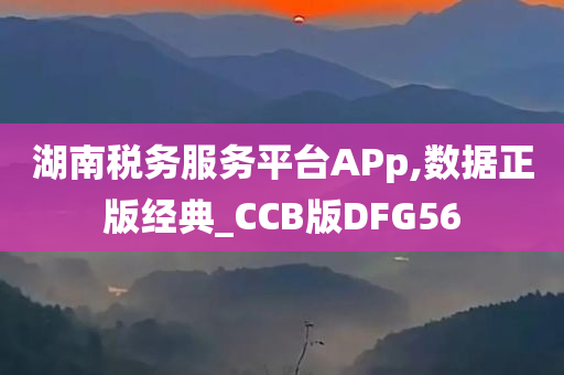 湖南税务服务平台APp,数据正版经典_CCB版DFG56