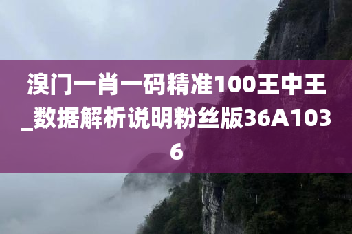 溴门一肖一码精准100王中王_数据解析说明粉丝版36A1036