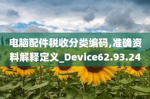 电脑配件税收分类编码,准确资料解释定义_Device62.93.24