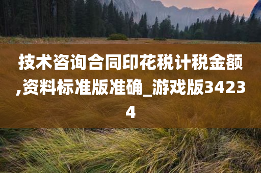 技术咨询合同印花税计税金额,资料标准版准确_游戏版34234