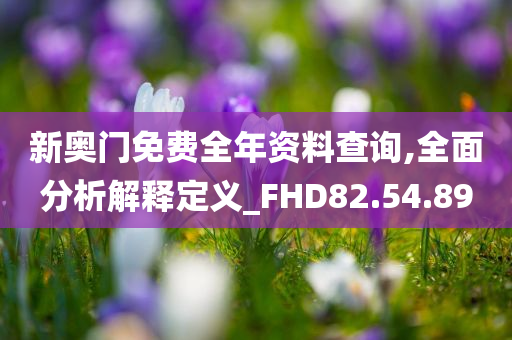 新奥门免费全年资料查询,全面分析解释定义_FHD82.54.89