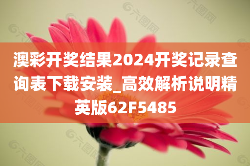 澳彩开奖结果2024开奖记录查询表下载安装_高效解析说明精英版62F5485