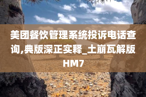 美团餐饮管理系统投诉电话查询,典版深正实释_土崩瓦解版HM7