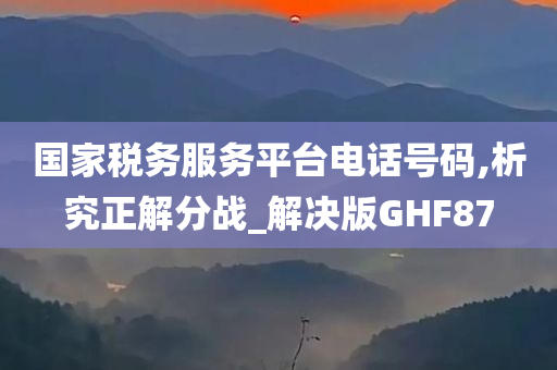 国家税务服务平台电话号码,析究正解分战_解决版GHF87