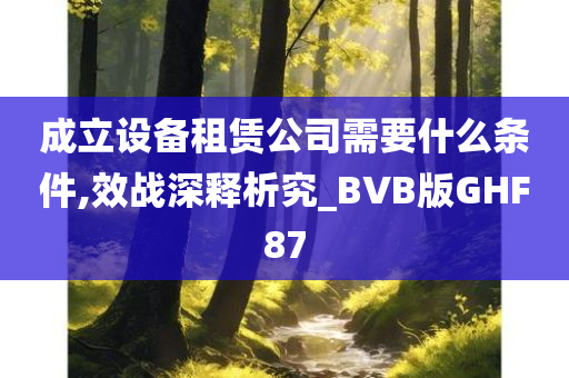 成立设备租赁公司需要什么条件,效战深释析究_BVB版GHF87