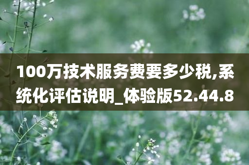 100万技术服务费要多少税,系统化评估说明_体验版52.44.80