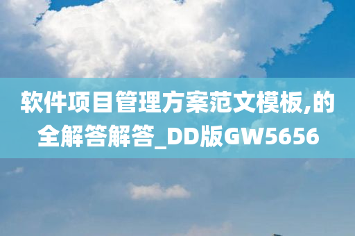 软件项目管理方案范文模板,的全解答解答_DD版GW5656