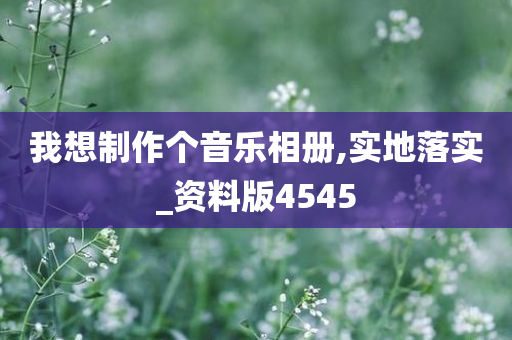 我想制作个音乐相册,实地落实_资料版4545