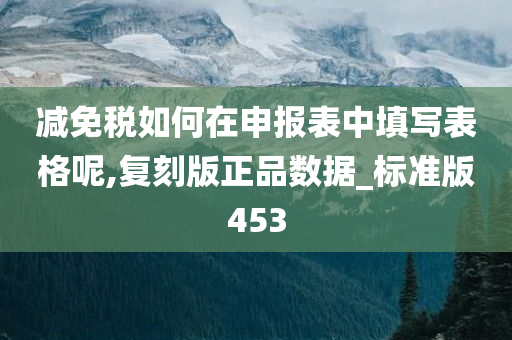 减免税如何在申报表中填写表格呢,复刻版正品数据_标准版453