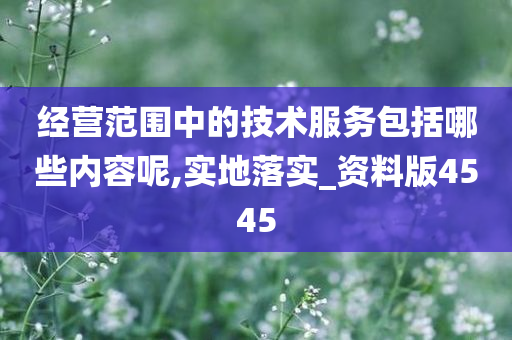 经营范围中的技术服务包括哪些内容呢,实地落实_资料版4545