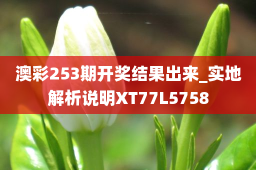 澳彩253期开奖结果出来_实地解析说明XT77L5758