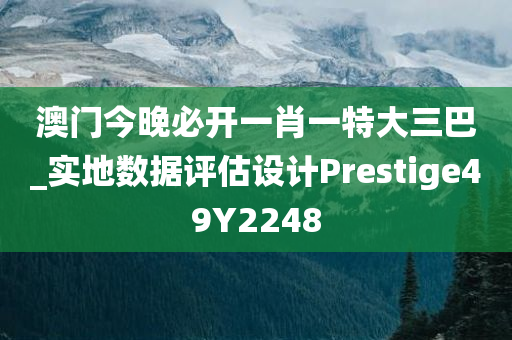 澳门今晚必开一肖一特大三巴_实地数据评估设计Prestige49Y2248