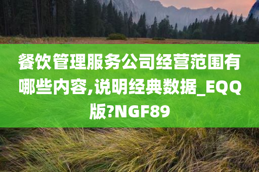 餐饮管理服务公司经营范围有哪些内容,说明经典数据_EQQ版?NGF89