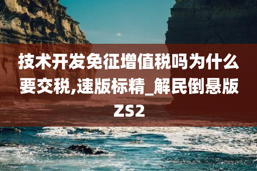 技术开发免征增值税吗为什么要交税,速版标精_解民倒悬版ZS2