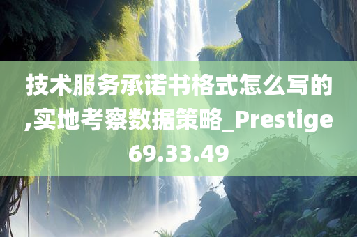 技术服务承诺书格式怎么写的,实地考察数据策略_Prestige69.33.49