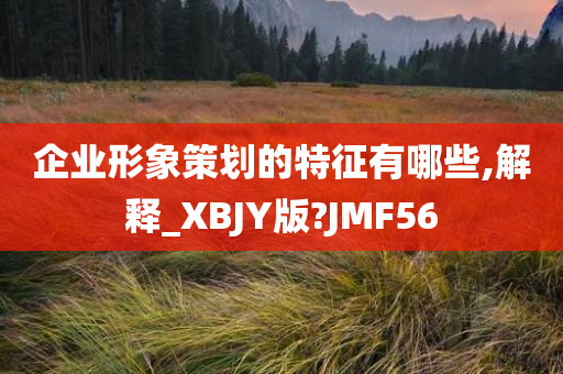 企业形象策划的特征有哪些,解释_XBJY版?JMF56