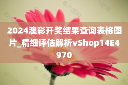 2024澳彩开奖结果查询表格图片_精细评估解析vShop14E4970