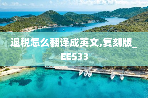 退税怎么翻译成英文,复刻版_EE533