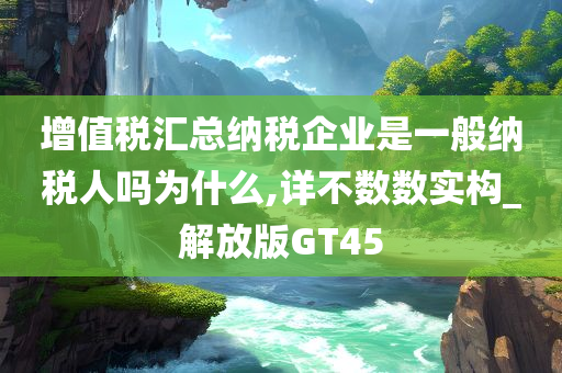 增值税汇总纳税企业是一般纳税人吗为什么,详不数数实构_解放版GT45