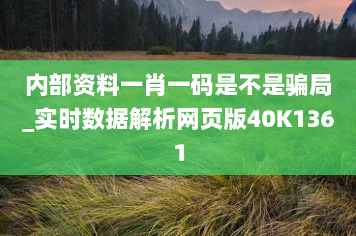 内部资料一肖一码是不是骗局_实时数据解析网页版40K1361