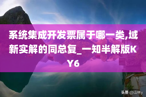 系统集成开发票属于哪一类,域新实解的同总复_一知半解版KY6