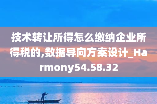 技术转让所得怎么缴纳企业所得税的,数据导向方案设计_Harmony54.58.32