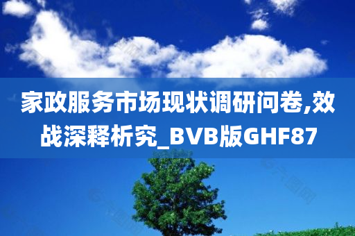 家政服务市场现状调研问卷,效战深释析究_BVB版GHF87