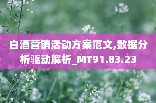 白酒营销活动方案范文,数据分析驱动解析_MT91.83.23