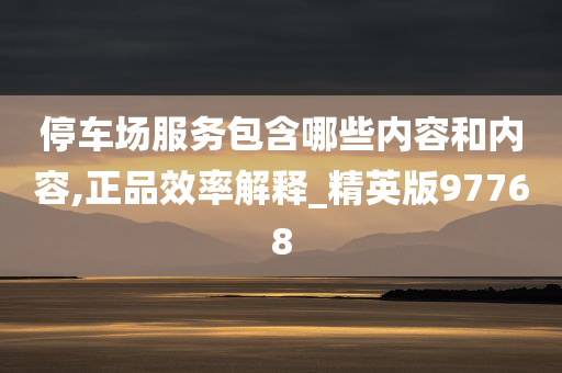 停车场服务包含哪些内容和内容,正品效率解释_精英版97768