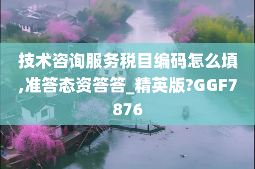 技术咨询服务税目编码怎么填,准答态资答答_精英版?GGF7876