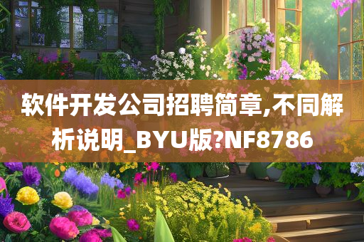 软件开发公司招聘简章,不同解析说明_BYU版?NF8786