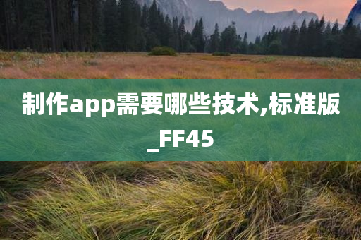 制作app需要哪些技术,标准版_FF45