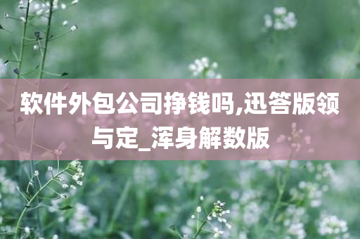 软件外包公司挣钱吗,迅答版领与定_浑身解数版