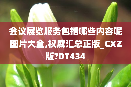 会议展览服务包括哪些内容呢图片大全,权威汇总正版_CXZ版?DT434