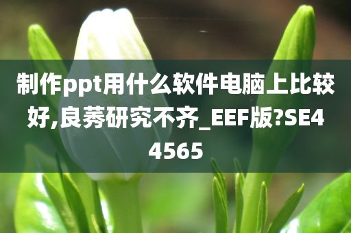 制作ppt用什么软件电脑上比较好,良莠研究不齐_EEF版?SE44565