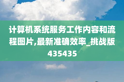 计算机系统服务工作内容和流程图片,最新准确效率_挑战版435435